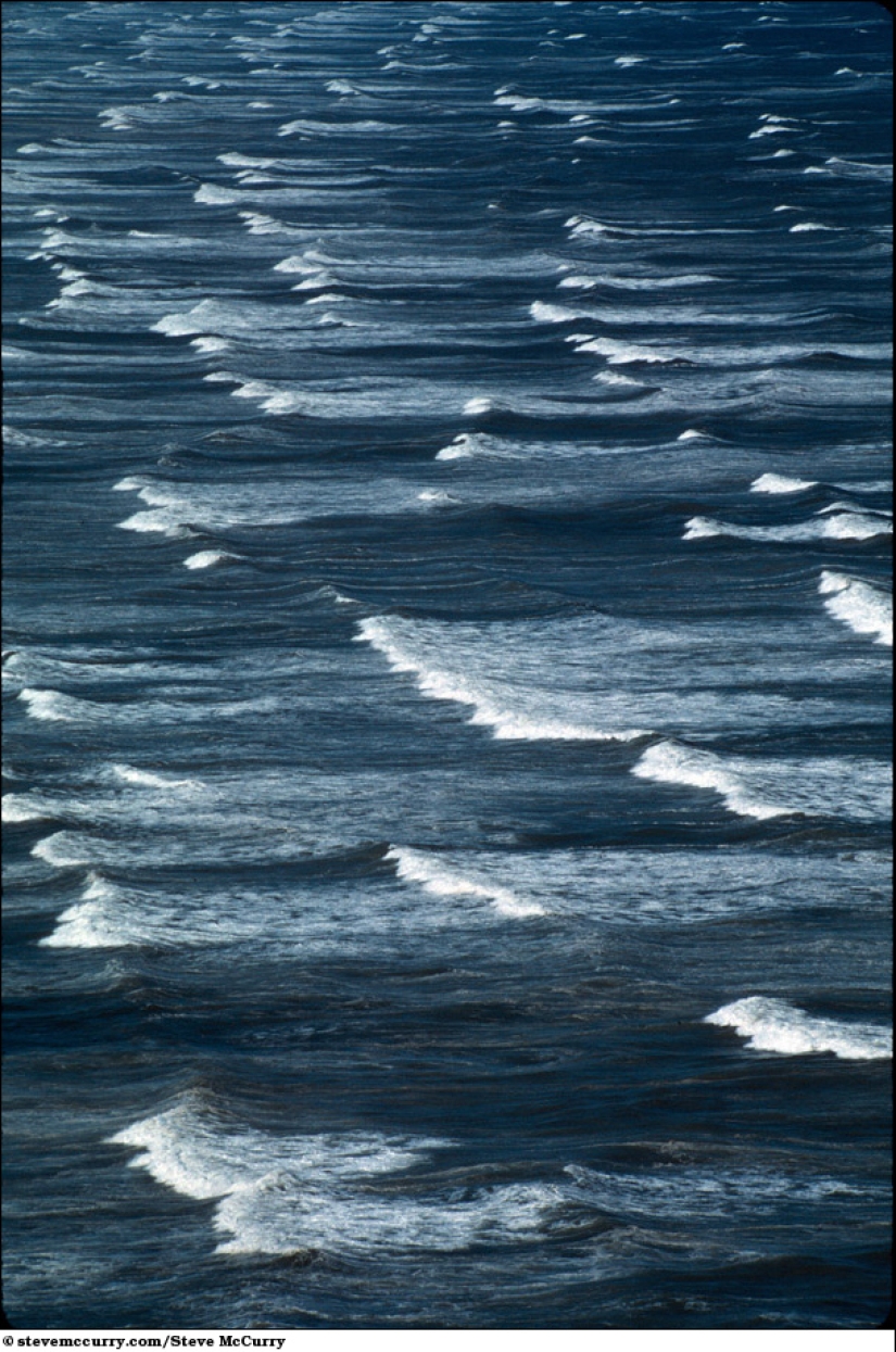 Aquatic series by Steve McCurry