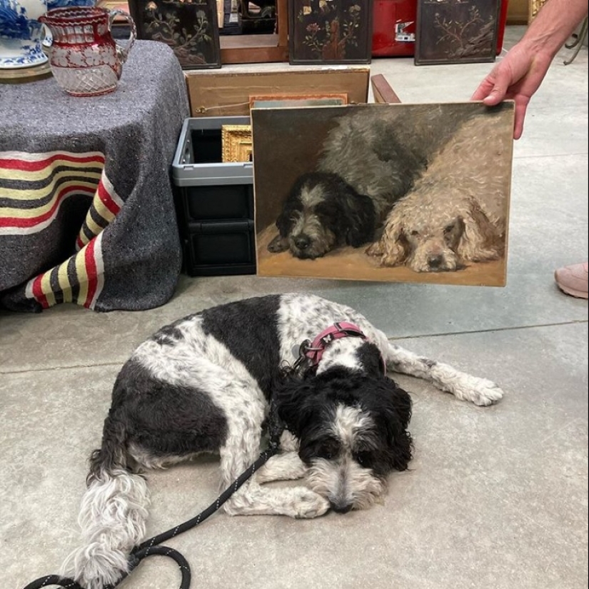 Are the accidents not random? 22 examples of cute coincidences that will amuse you