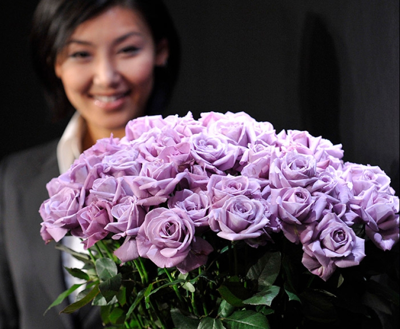 Are there blue roses?