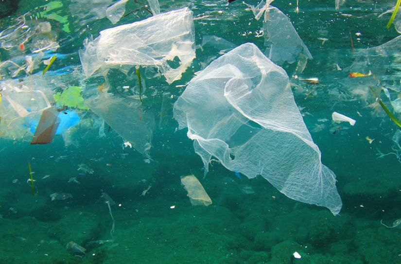 Are you bringing a plastic bag? World customs, where you may unexpectedly find yourself a criminal