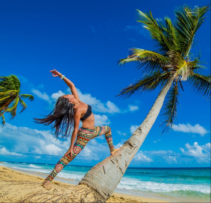 Armonía en el centro de la ciudad: el yoga en una gran ciudad
