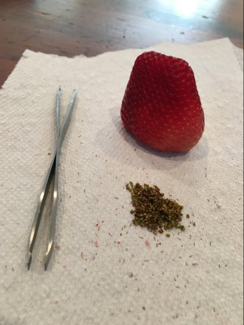 Armonioso 20 fotos que le causa placer visual