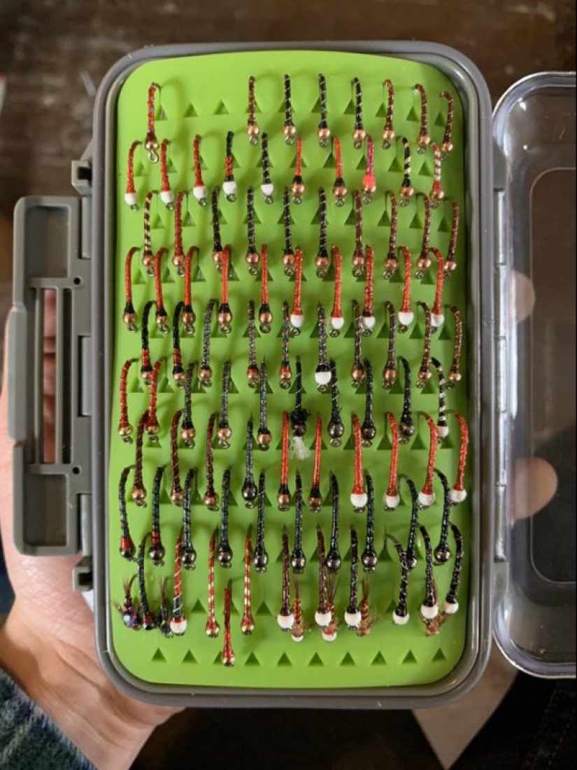 Armonioso 20 fotos que le causa placer visual