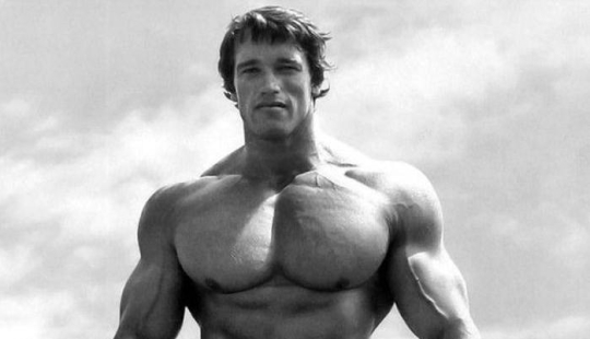 Arnold Schwarzenegger's Success Story