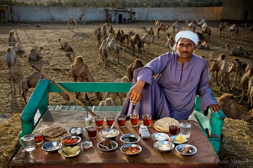 Around the World in 80 Diets