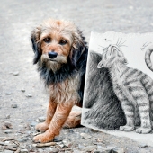 Arte de dos capas por Ben Hein