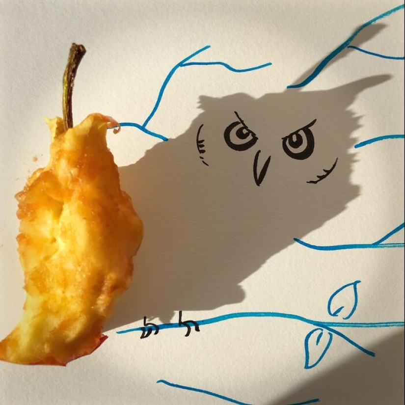 Artist Transforms Shadows Of Everyday Objects Into Illustrations