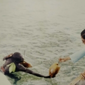 As a female anthropologist was able to establish contact with the wild tribes