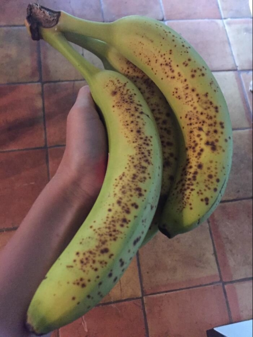 "As much triset!" 40 infuriating situations where trifles discompose