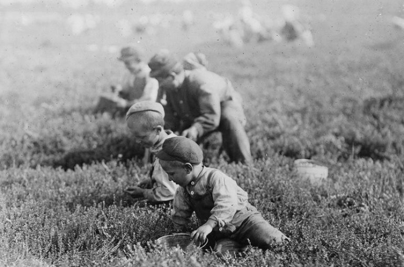 As our grandmother coped without slow cookers and vacuum cleaning robots As our grandmother coped without slow cookers and vacuum cleaning robots