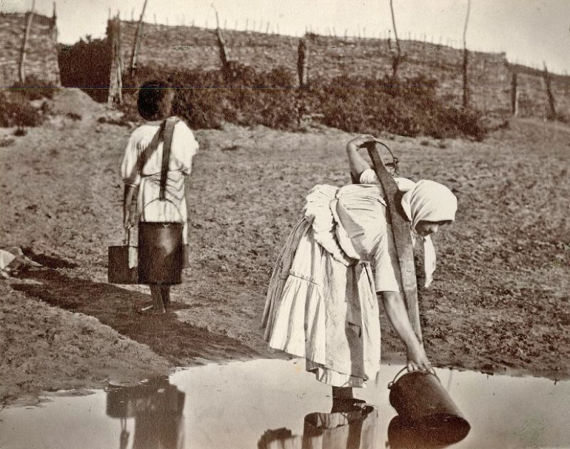 As was arranged, "the Swedish family" of the don Cossacks before the advent of "spiritual scrapie" As was arranged, "the Swedish family" of the don Cossacks before the advent of "spiritual scrapie"