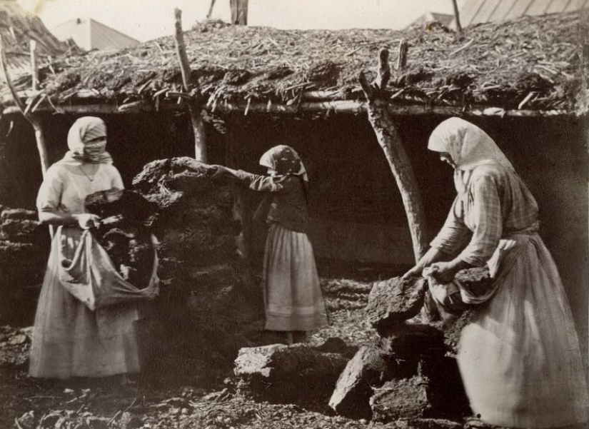 As was arranged, "the Swedish family" of the don Cossacks before the advent of "spiritual scrapie" As was arranged, "the Swedish family" of the don Cossacks before the advent of "spiritual scrapie"