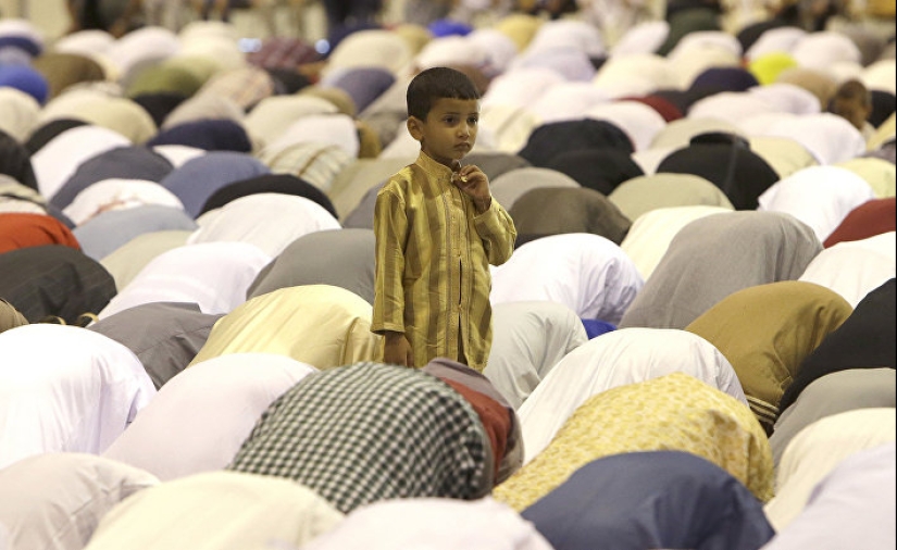 Ateísmo, amor a los gatos y 5 signos más inesperados de alta inteligencia Ateísmo, amor a los gatos y 5 signos más inesperados de alta inteligencia