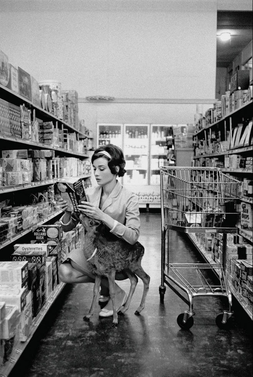 Audrey Hepburn and her fawn named Pippin Audrey Hepburn and her fawn named Pippin