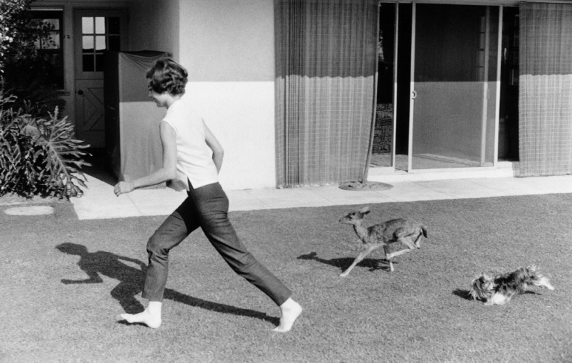 Audrey Hepburn y su cervatillo llamado Pippin Audrey Hepburn y su cervatillo llamado Pippin