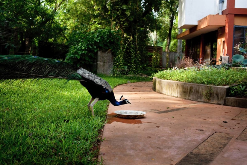 Auroville es una ciudad donde no hay política, religión ni diferencias nacionales.