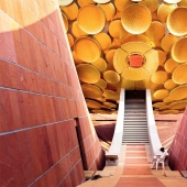 Auroville is a city where there is no politics, religion and national differences