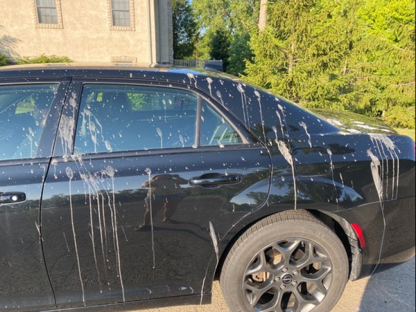 Bad luck, so bad luck: 22 examples when the day was not set Bad luck, so bad luck: 22 examples when the day was not set