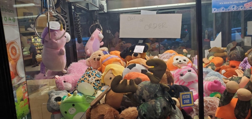 Bad luck, so bad luck: 22 examples when the day was not set Bad luck, so bad luck: 22 examples when the day was not set