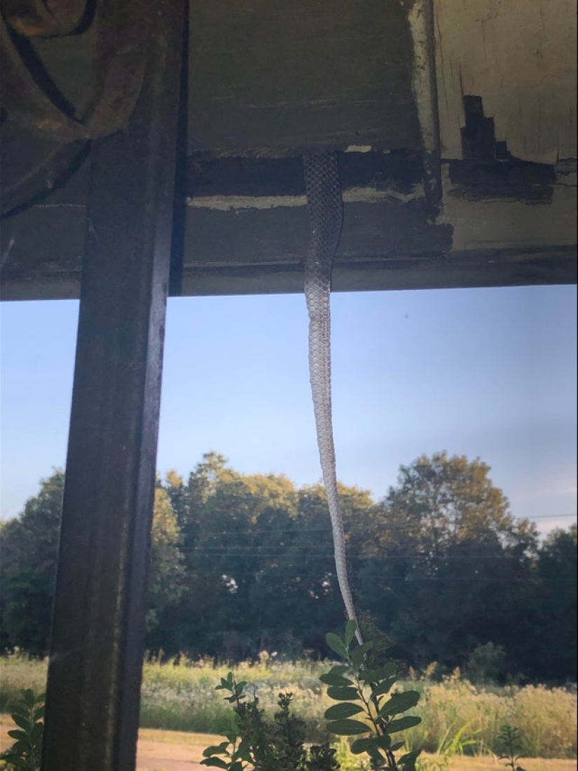 Bad luck, so bad luck: 22 examples when the day was not set Bad luck, so bad luck: 22 examples when the day was not set