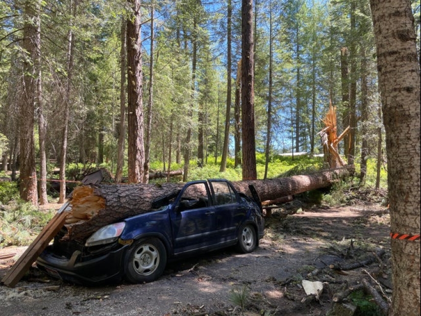 Bad luck, so bad luck: 22 examples when the day was not set Bad luck, so bad luck: 22 examples when the day was not set