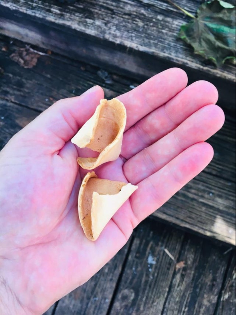 Bad luck, so bad luck: 22 examples when the day was not set Bad luck, so bad luck: 22 examples when the day was not set