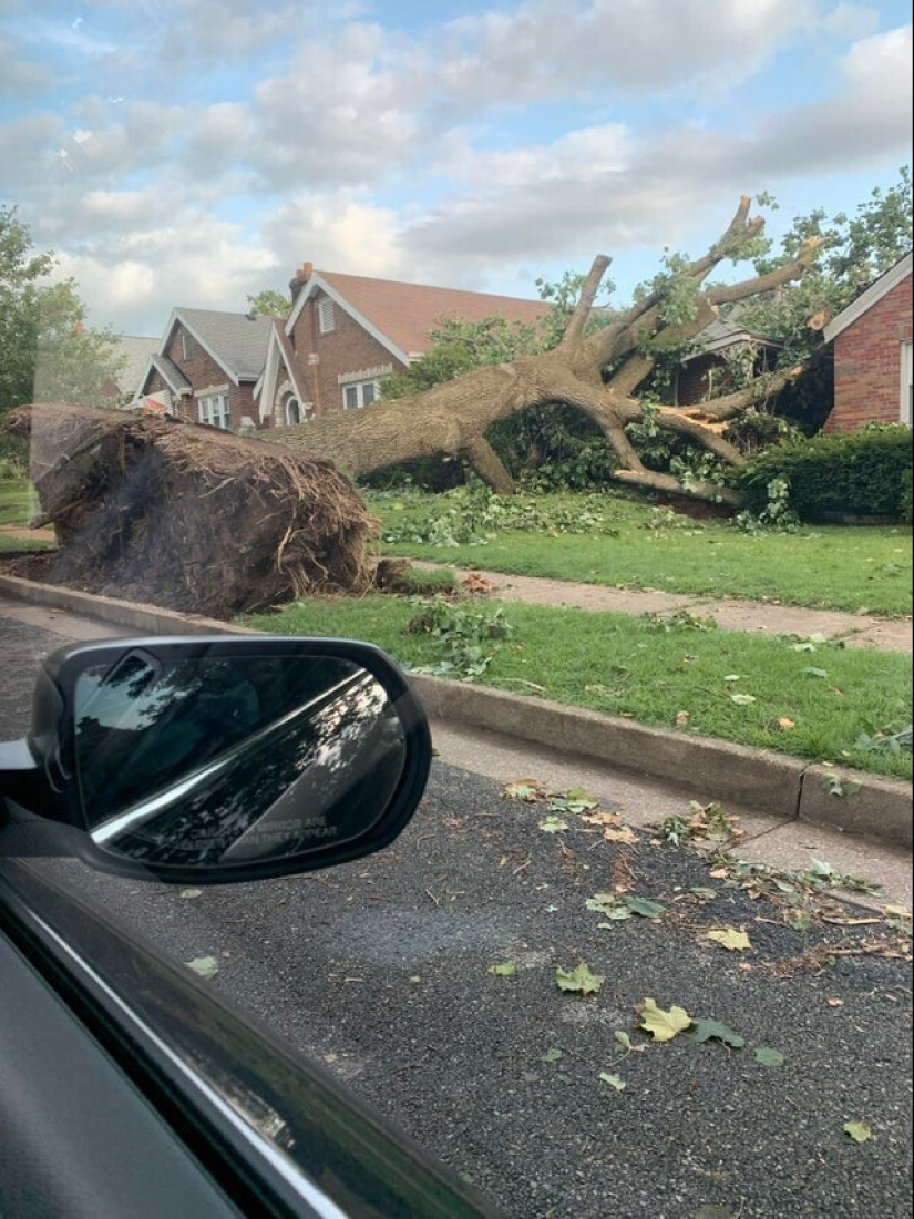 Bad luck, so bad luck: 30 domestic disasters, when everything is shattered Bad luck, so bad luck: 30 domestic disasters, when everything is shattered