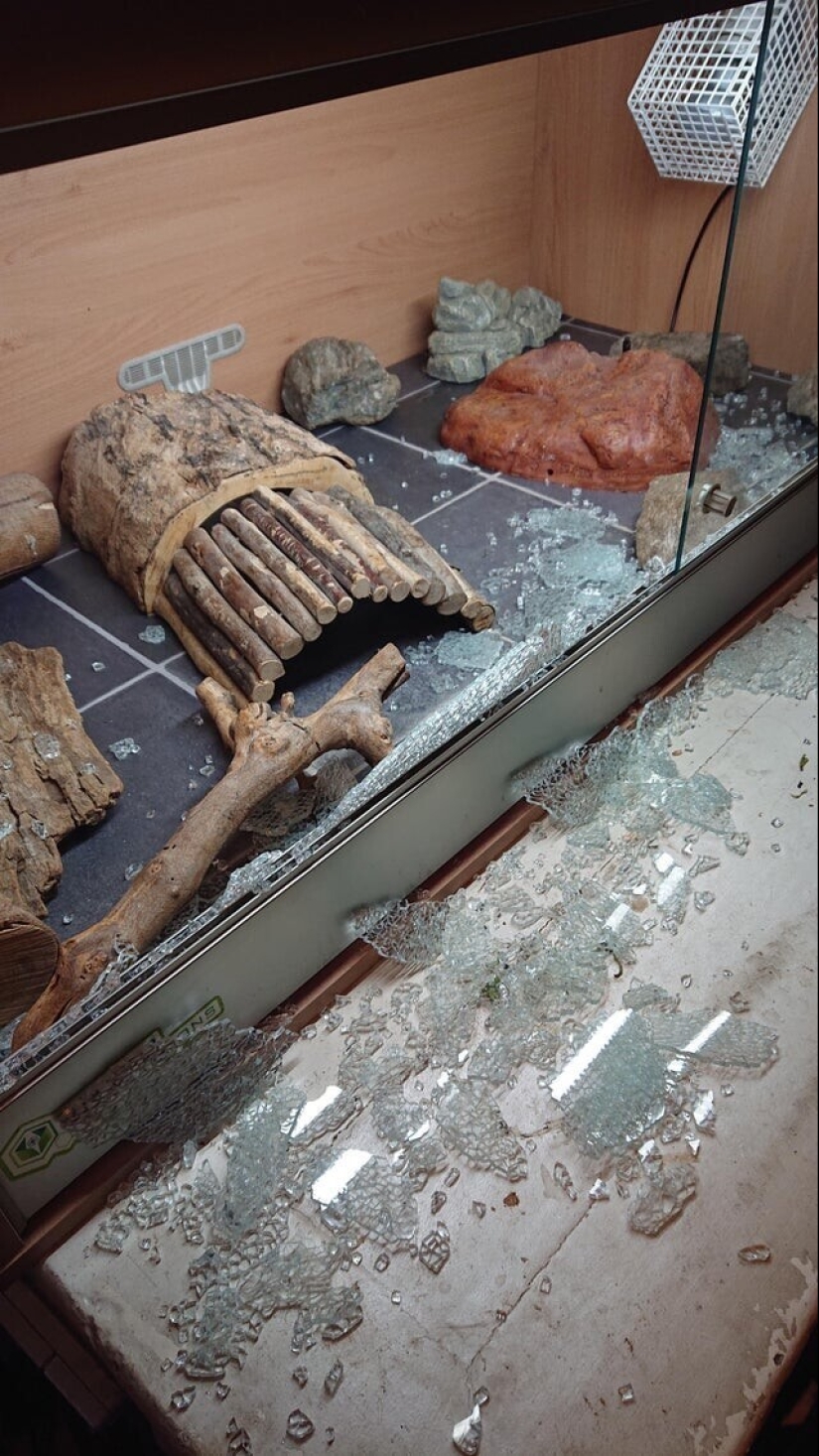 Bad luck, so bad luck: 30 domestic disasters, when everything is shattered Bad luck, so bad luck: 30 domestic disasters, when everything is shattered