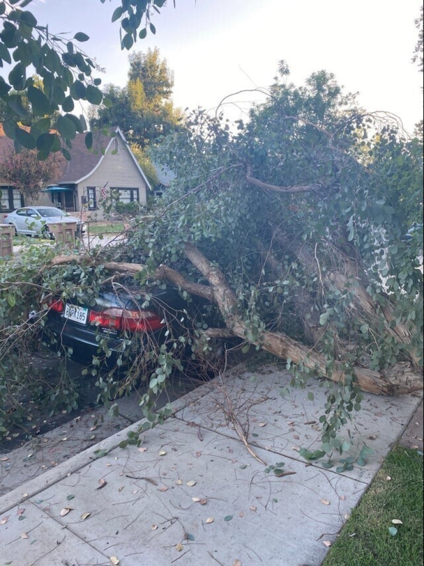 Bad luck, so bad luck: 30 domestic disasters, when everything is shattered Bad luck, so bad luck: 30 domestic disasters, when everything is shattered