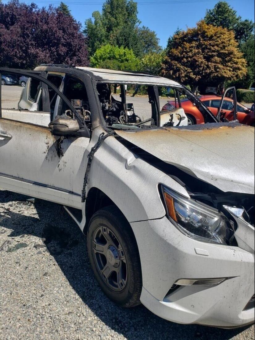 Bad luck, so bad luck: 30 domestic disasters, when everything is shattered Bad luck, so bad luck: 30 domestic disasters, when everything is shattered