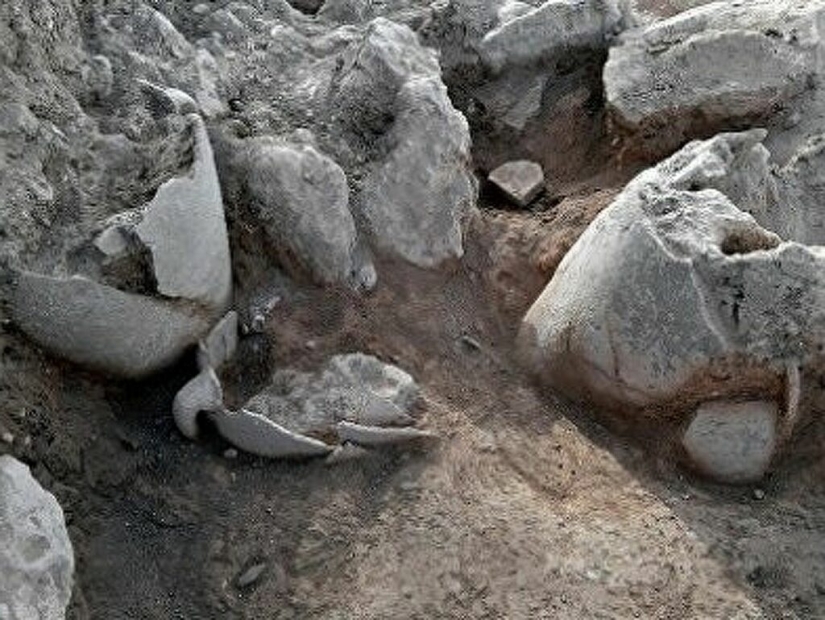 Baijiu es la bebida alcohólica más popular del mundo