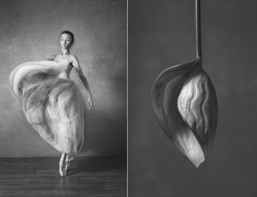 Bailarina y flores: una serie de fotos sobre la similitud de las dos de gracia
