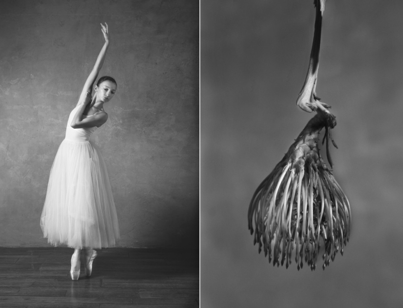 Bailarina y flores: una serie de fotos sobre la similitud de las dos de gracia