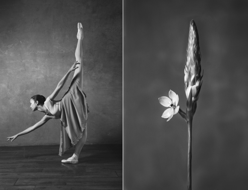 Bailarina y flores: una serie de fotos sobre la similitud de las dos de gracia
