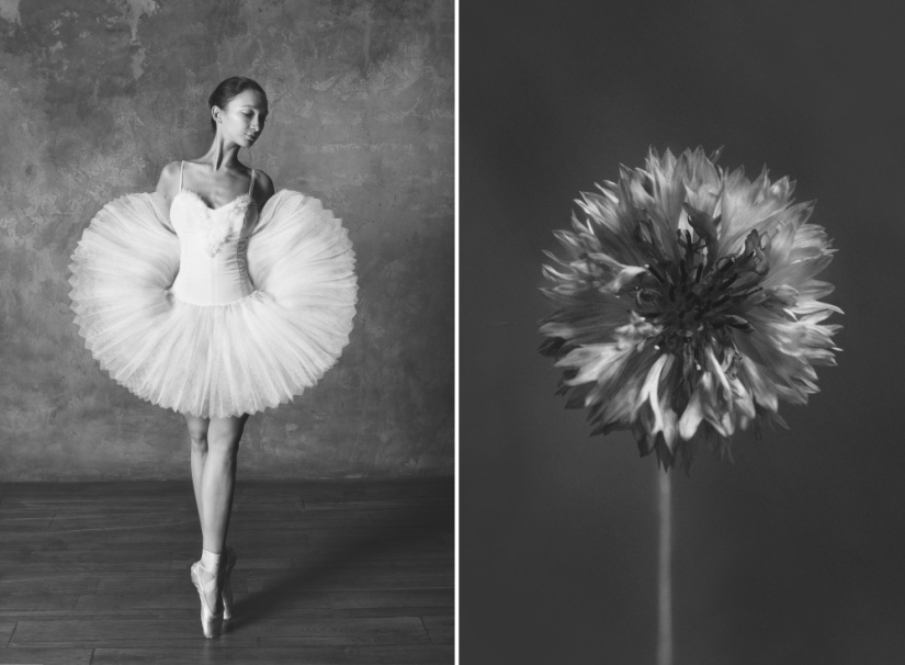 Bailarina y flores: una serie de fotos sobre la similitud de las dos de gracia