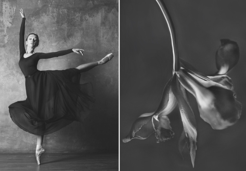 Bailarina y flores: una serie de fotos sobre la similitud de las dos de gracia