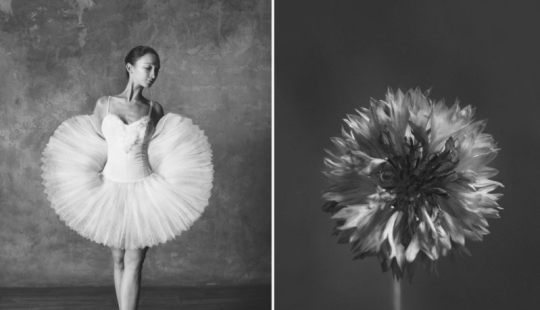 Bailarina y flores: una serie de fotos sobre la similitud de las dos de gracia