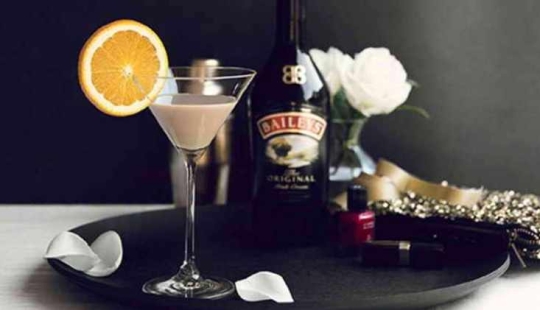 Baileys, Xue-Xue and Becherovka: make cheap homemade analogues favorite drinks
