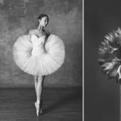 Ballerina and flowers: a photo series about the similarity of the two grace