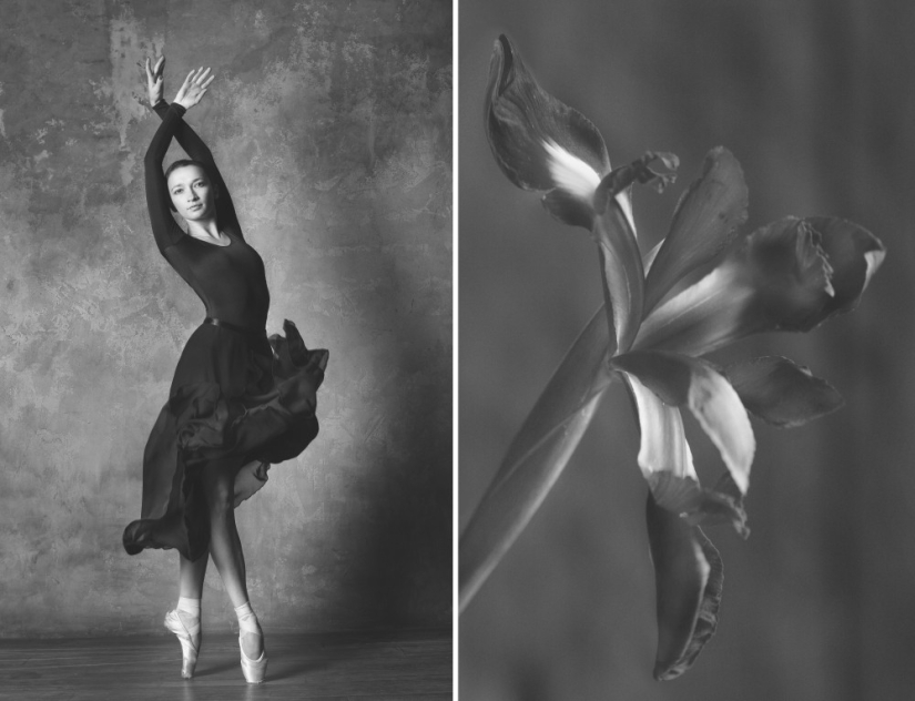 Ballerina and flowers: a photo series about the similarity of the two grace