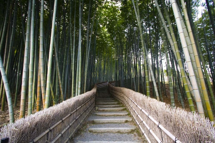 Bamboo corridor at the foot of the mountain in Kyoto