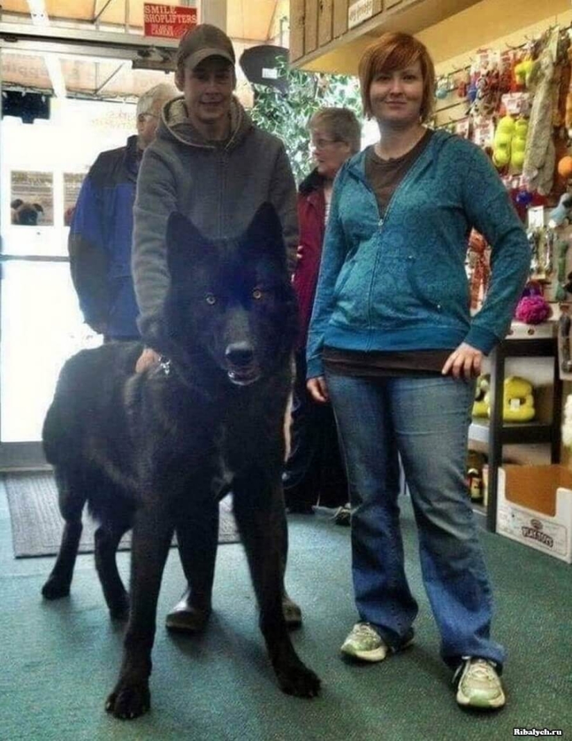 Beautiful world: 42 amazing and beautiful photos