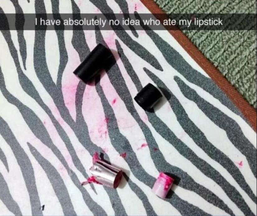 Beauty — a terrible force: 20 again, when the battle for beauty has been lost Beauty — a terrible force: 20 again, when the battle for beauty has been lost