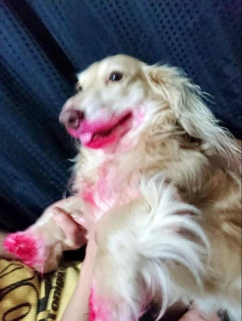 Beauty — a terrible force: 20 again, when the battle for beauty has been lost Beauty — a terrible force: 20 again, when the battle for beauty has been lost