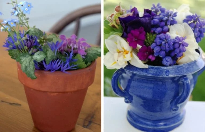 Beaver and beaver, bra and bra and other concepts that many people confuse with each other Beaver and beaver, bra and bra and other concepts that many people confuse with each other