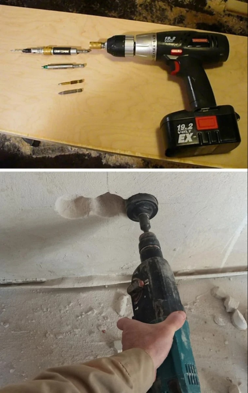 Beaver and beaver, bra and bra and other concepts that many people confuse with each other Beaver and beaver, bra and bra and other concepts that many people confuse with each other