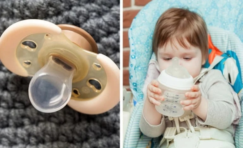 Beaver and beaver, bra and bra and other concepts that many people confuse with each other Beaver and beaver, bra and bra and other concepts that many people confuse with each other