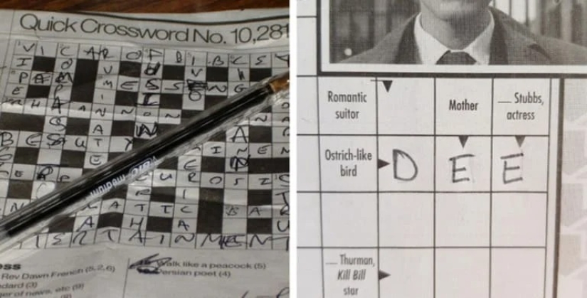 Beaver and beaver, bra and bra and other concepts that many people confuse with each other Beaver and beaver, bra and bra and other concepts that many people confuse with each other