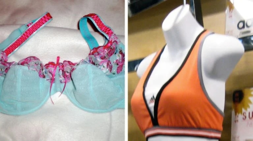 Beaver and beaver, bra and bra and other concepts that many people confuse with each other Beaver and beaver, bra and bra and other concepts that many people confuse with each other