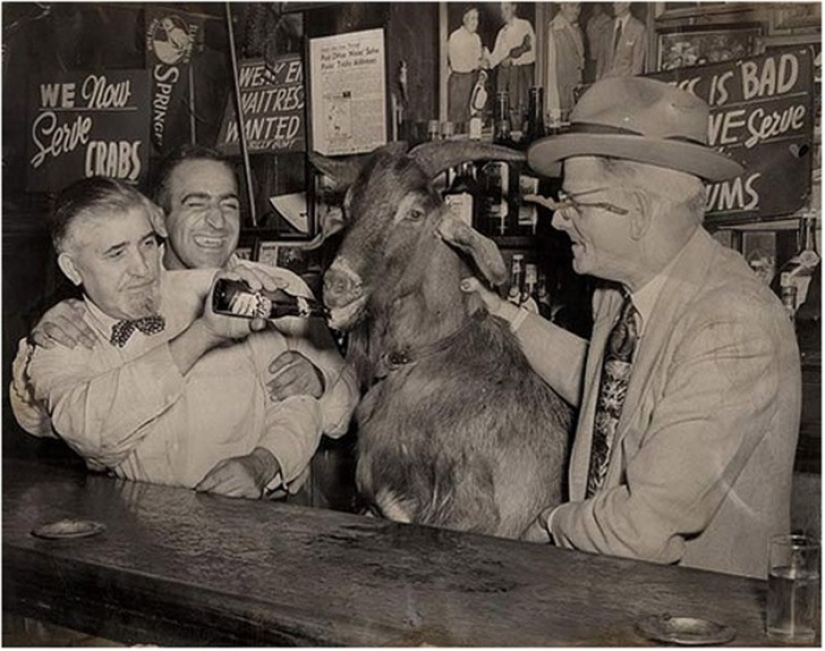 Beber en estados UNIDOS